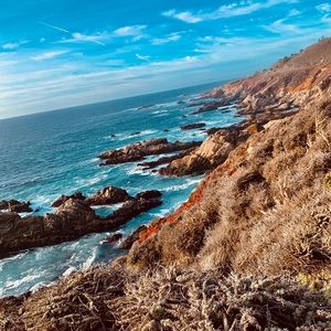 Meet your Posher, Lizbeth